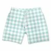 Budget 🥰 Millie & Maxx Mint Gingham Swim Trunks - Toddler For Kids 🧨