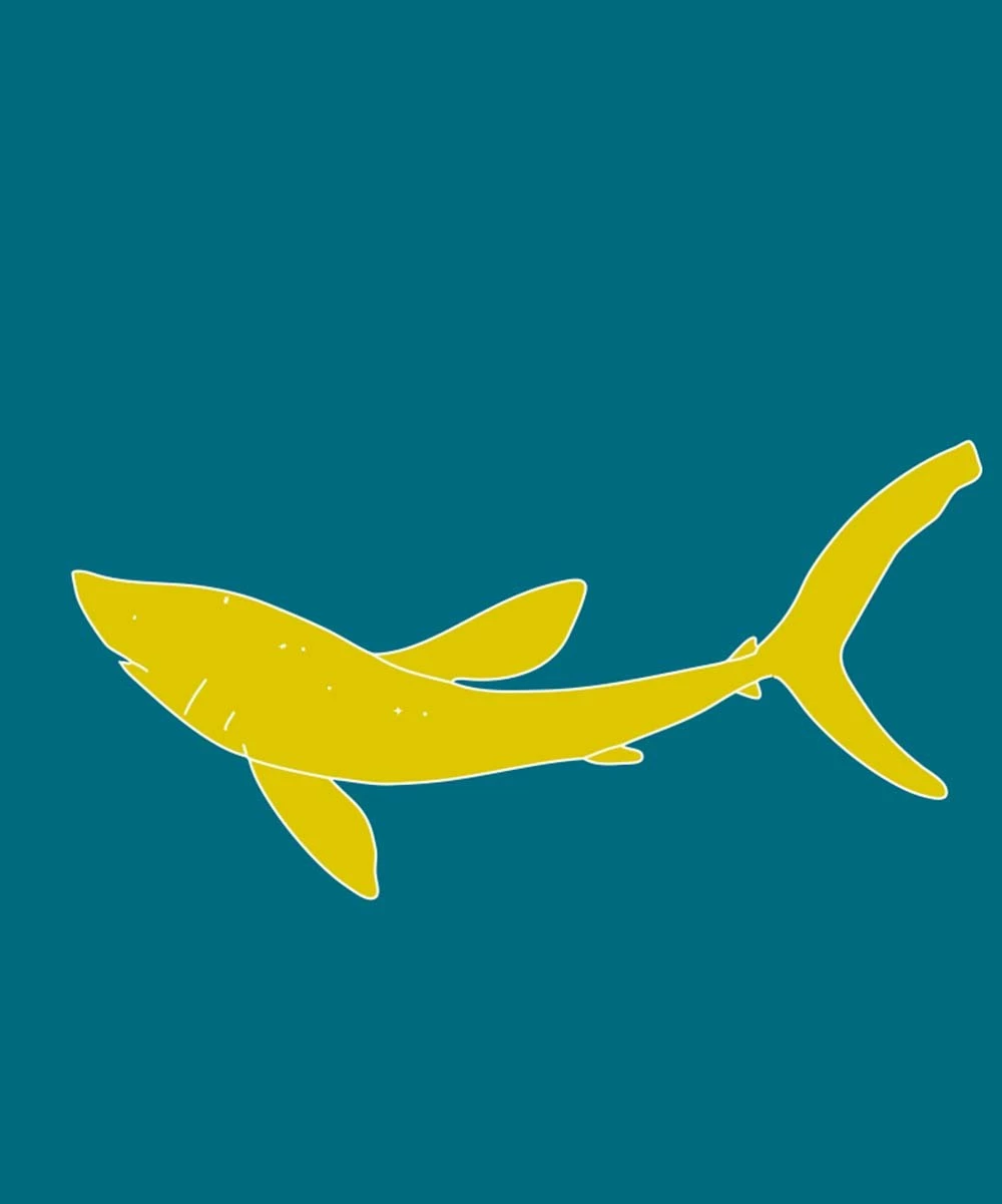Discount ๐ Millie & Maxx Teal & Yellow Shark Short-Sleeve Rashguard Set - Infant For Baby & Maternity ๐ 2 Discount ๐ Millie & Maxx Teal & Yellow Shark Short-Sleeve Rashguard Set - Infant For Baby & Maternity ๐ - Image 2