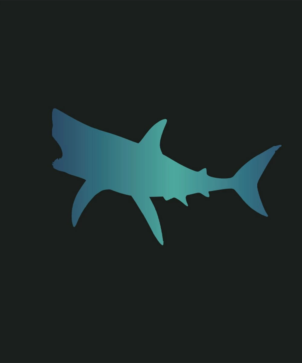 Brand new ๐ Millie & Maxx Black Ombrรฉ Moody Shark Long-Sleeve Rashguard Set - Boys For Kids ๐ 3 Brand new ๐ Millie & Maxx Black Ombrรฉ Moody Shark Long-Sleeve Rashguard Set - Boys For Kids ๐ - Image 3