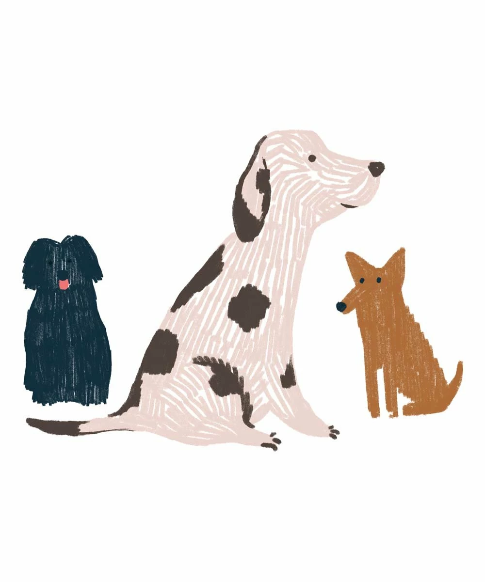 Best Sale ๐ Millie & Maxx Heather Gray & Charcoal ๐ Doggy ๐ Dog Long-Sleeve Raglan Tee - Infant, Toddler & Boys For Kids ๐ - Image 3