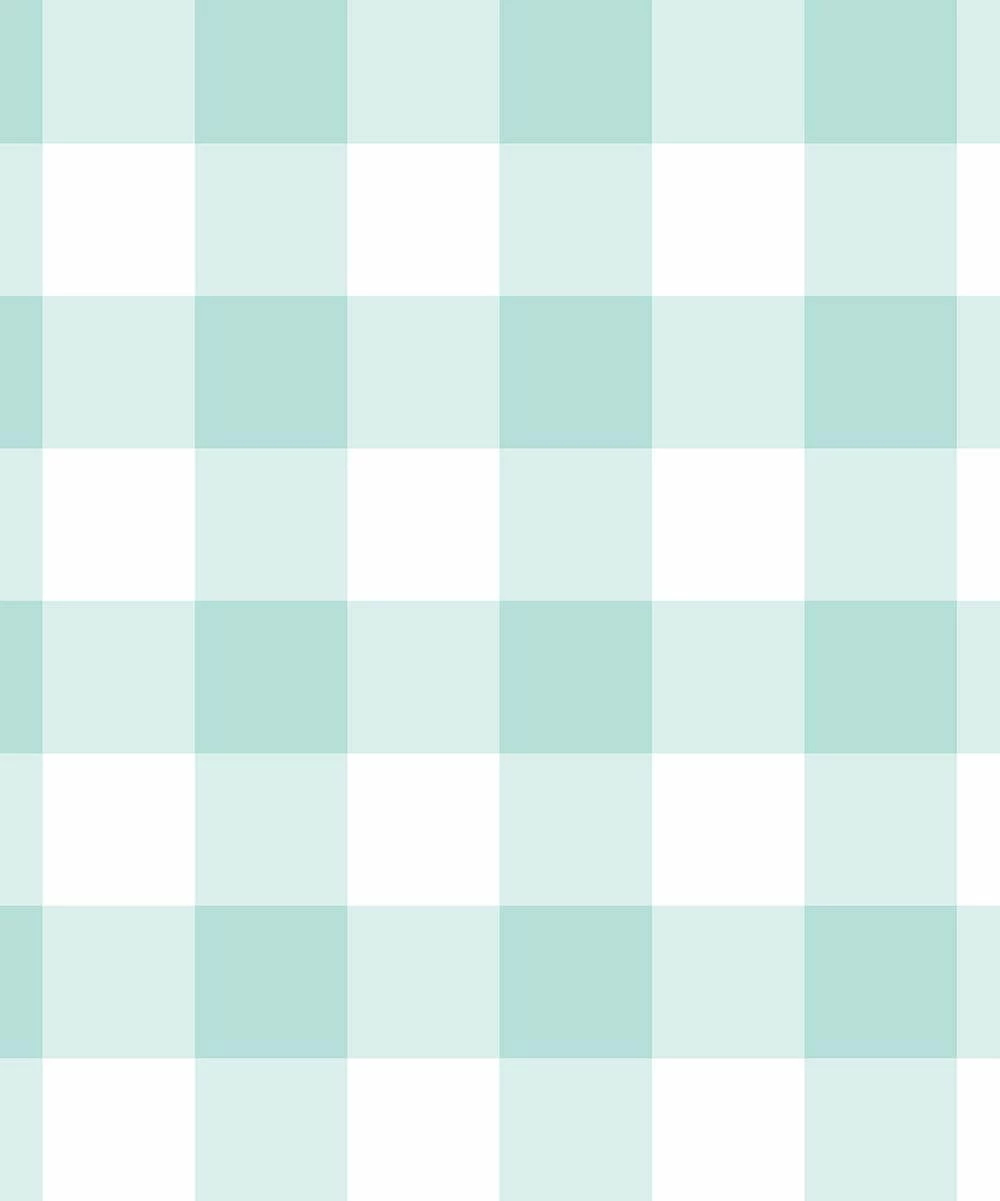 Best Sale 🧨 Millie & Maxx White & Mint Gingham Swim Trunks - Toddler & Boys For Kids ❤️ 2 Best Sale 🧨 Millie & Maxx White & Mint Gingham Swim Trunks - Toddler & Boys For Kids ❤️ - Image 2