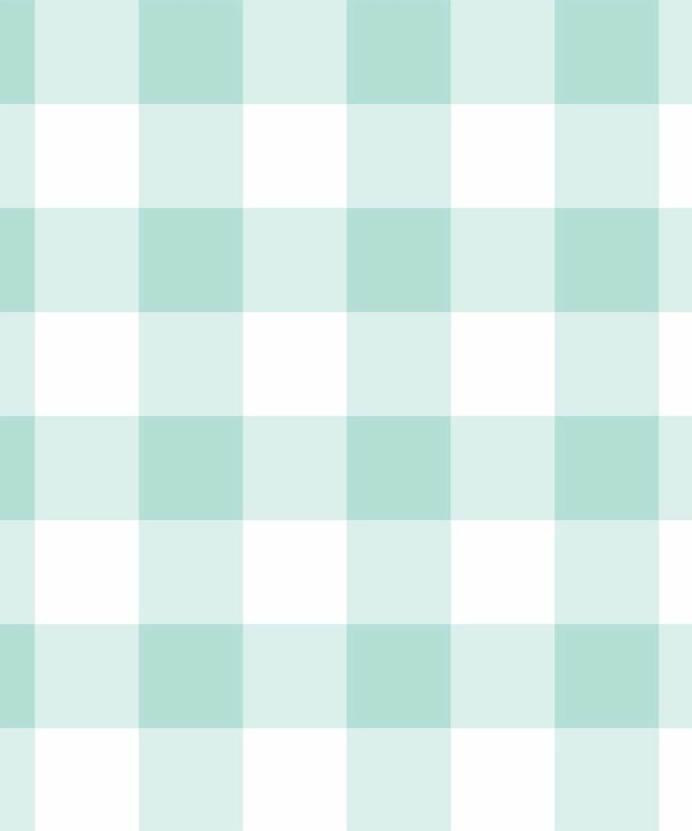 Best deal 🛒 Millie & Maxx Mint & White Gingham Short-Sleeve Rashguard Set - Boys For Kids 👏 2 Best deal 🛒 Millie & Maxx Mint & White Gingham Short-Sleeve Rashguard Set - Boys For Kids 👏 - Image 2