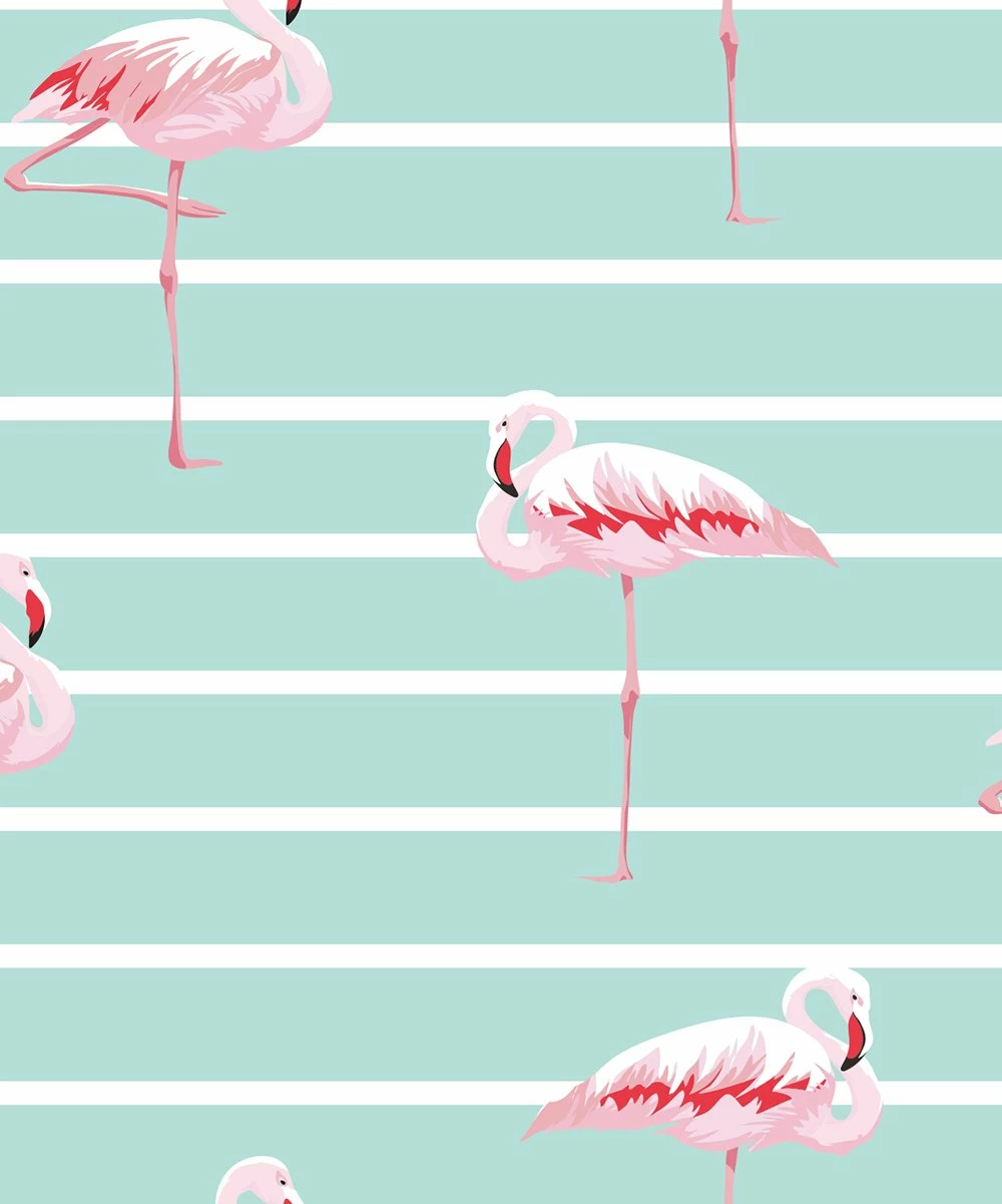 Brand new ๐ Millie & Maxx Mint & White Ombrรฉ Stripe Flamingo Short-Sleeve Rashguard Set - Boys For Kids ๐ 2 Brand new ๐ Millie & Maxx Mint & White Ombrรฉ Stripe Flamingo Short-Sleeve Rashguard Set - Boys For Kids ๐ - Image 2