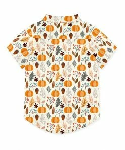 Hot Sale โค๏ธ Millie & Maxx Orange & Cream Autumn Frost Short-Sleeve Button-Up Top - Toddler For Kids ๐ฅ 7 Hot Sale โค๏ธ Millie & Maxx Orange & Cream Autumn Frost Short-Sleeve Button-Up Top - Toddler For Kids ๐ฅ -Millie Loves Lily Shop zu108686694 alt 3 tm1662160254